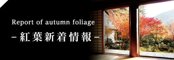 紅葉新着情報