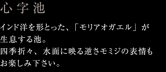 心字池：インド洋を形とった、「モリアオガエル」が生息する池。四季折々、水面に映る逆さモミジの表情もお楽しみ下さい。