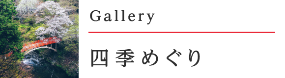 四季めぐり