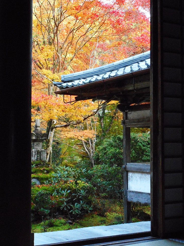 槙尾山西明寺 紅葉20221116_03