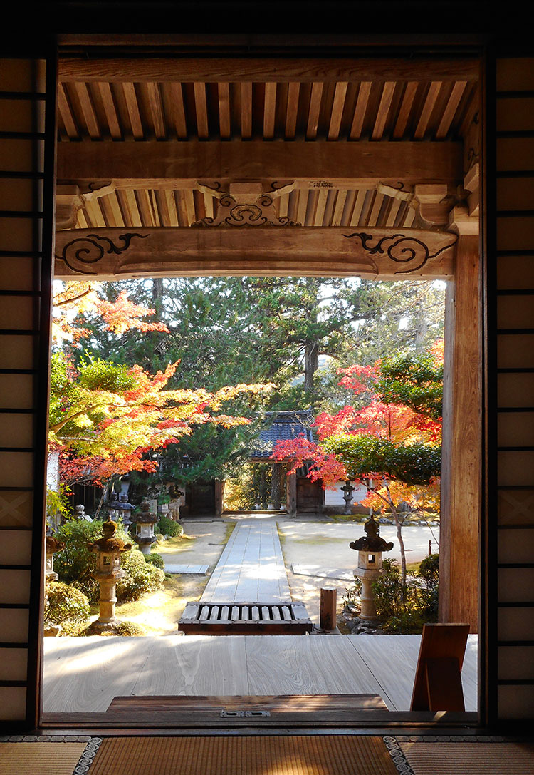 紅葉 槙尾山 西明寺　京都