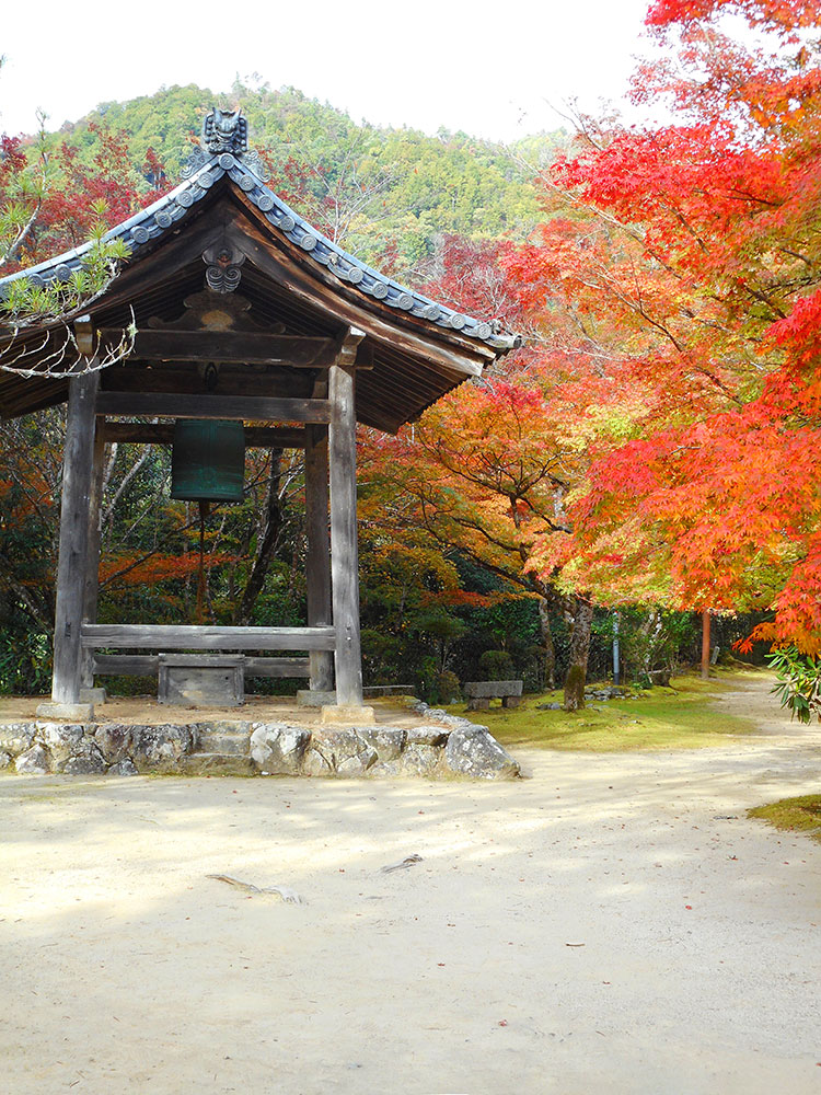 紅葉 槙尾山 西明寺　京都