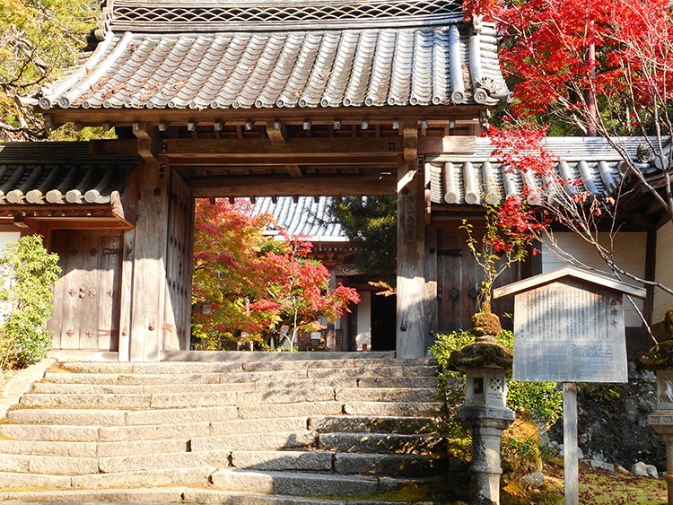 紅葉　槙尾山 西明寺