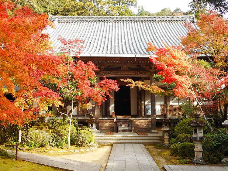 紅葉 槙尾山 西明寺　京都