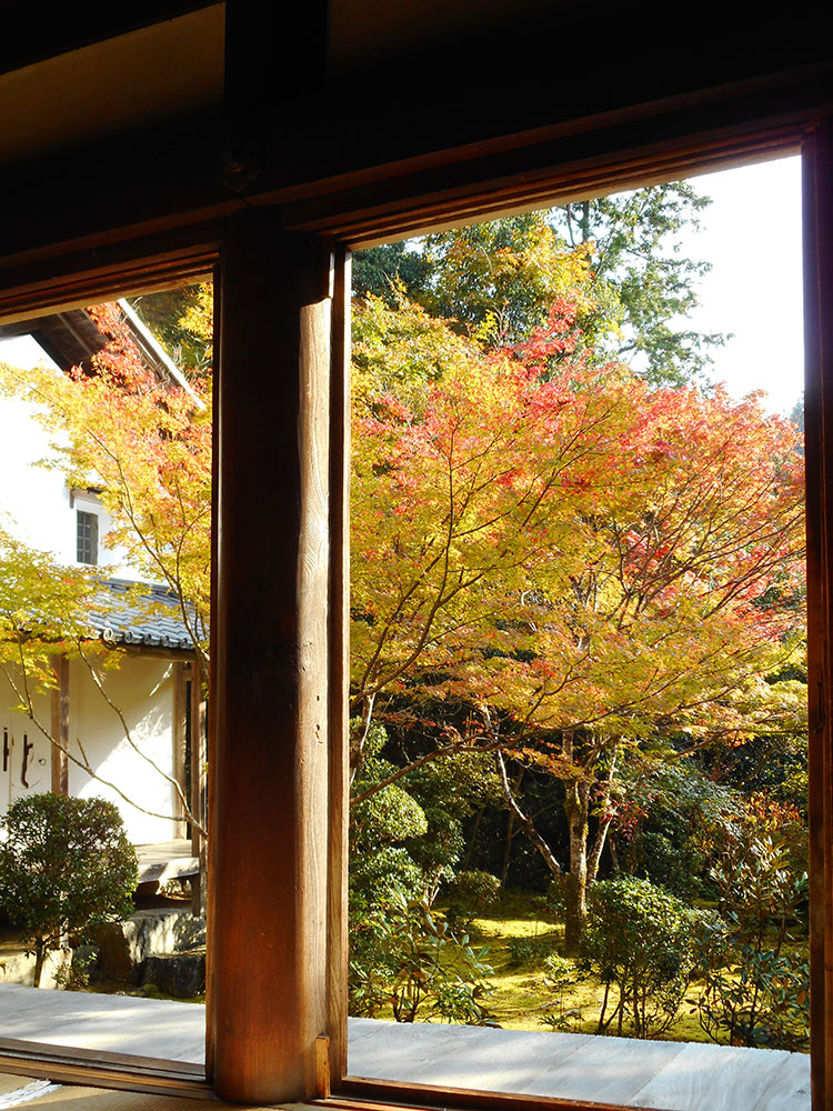 紅葉 槙尾山 西明寺