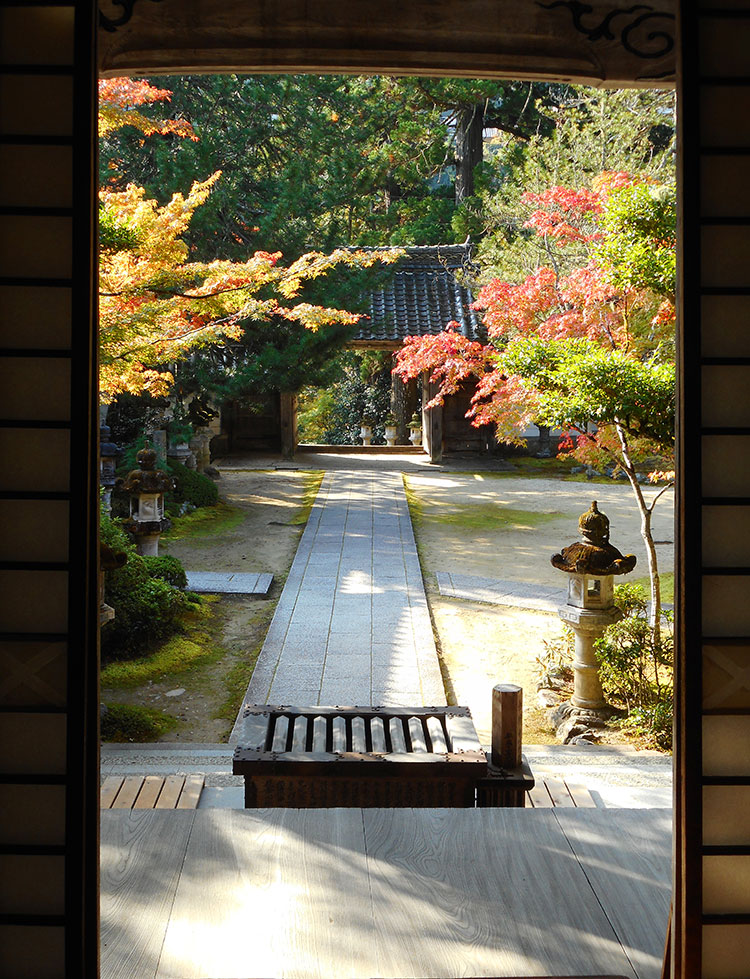 紅葉 槙尾山 西明寺