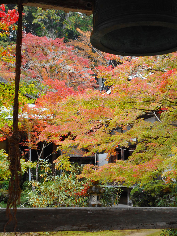 紅葉 槙尾山 西明寺　京都