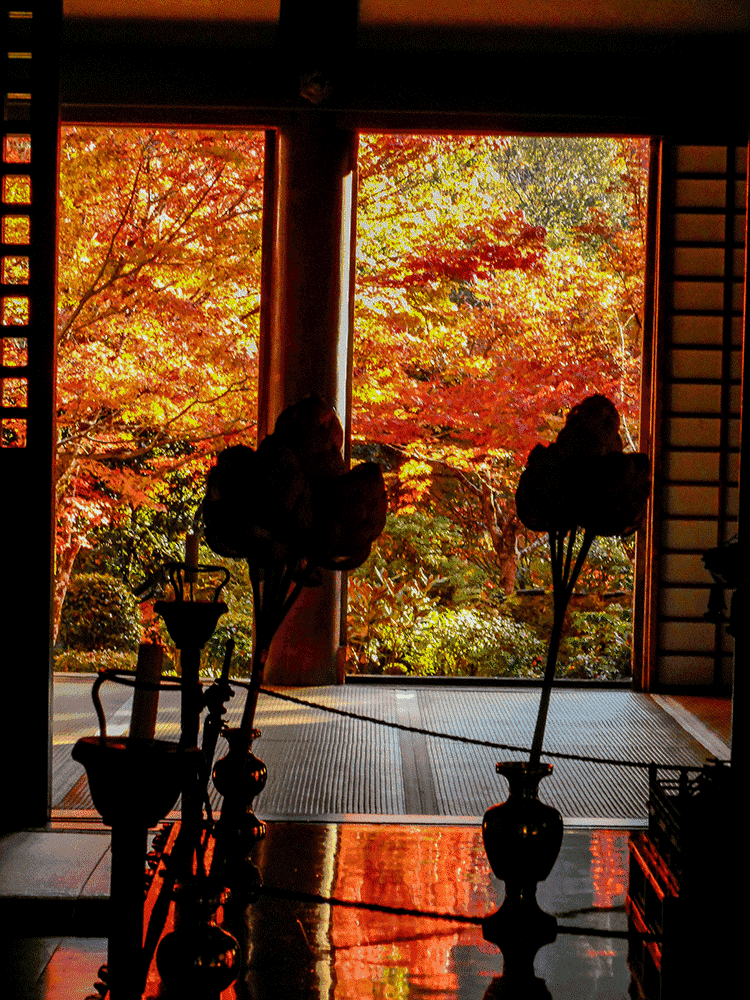 紅葉情報 西明寺