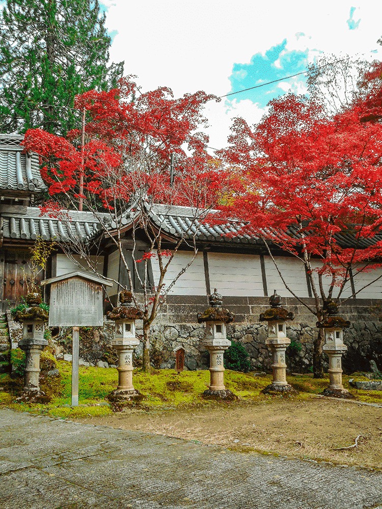西明寺　紅葉