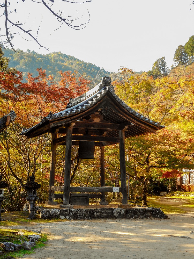 西明寺紅葉情報