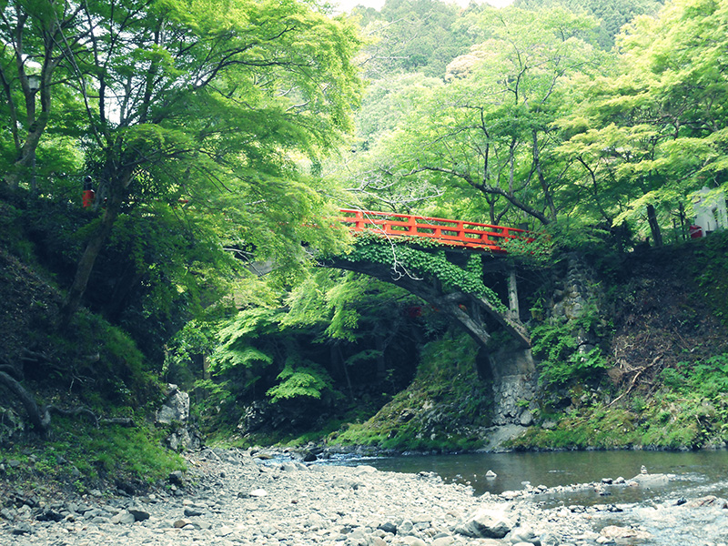 指月橋